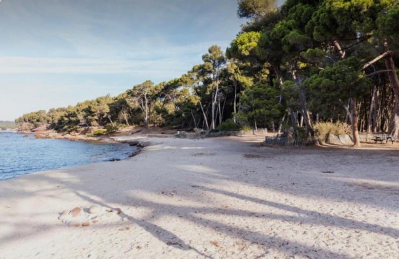 Charmant Studio A Saint Mandrier Sur Mer Apartment Luaran gambar